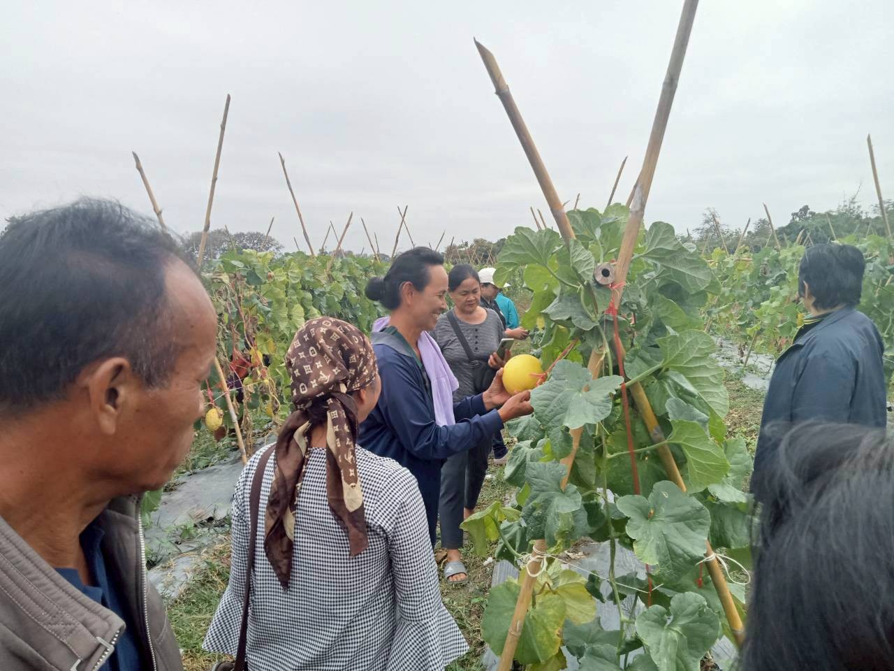 title - ส.ป.ก.พิษณุโลก จัดฝึกอบรมเกษตรกรภายใต้โครงการระบบส่งเสริมการเกษตรแบบแปลงใหญ่ในเขตปฏิรูปที่ดิน ปีงบประมาณ พ.ศ. 2569 หลักสูตร “การศึกษาดูงานเพื่อพัฒนาทักษะและแลกเปลี่ยนประสบการณ์ด้านการผลิตเมล็ดพันธุ์พืชผัก”